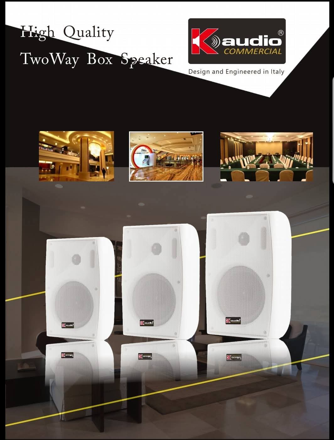 Kaudio Commercial High Quality Two-Way Box Speaker – Premium Audio for Every Space